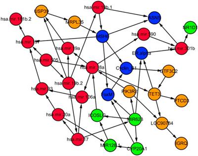 Biological Network Inference With GRASP: A Bayesian Network Structure Learning Method Using Adaptive Sequential Monte Carlo